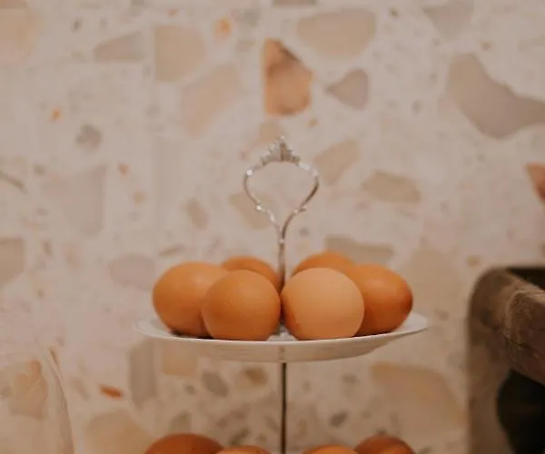 فندق Casadorioguesthouse