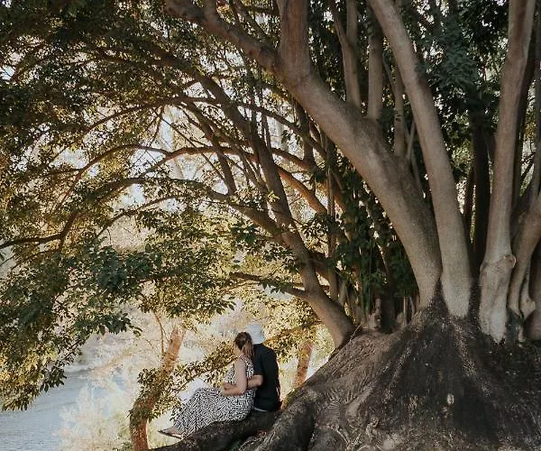 Casadorioguesthouse فندق Constância